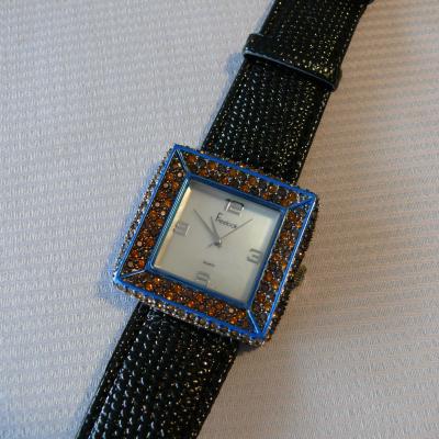 MONTRE-STRASS (2)